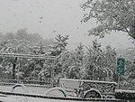 大雪