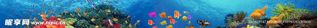 水族馆海报