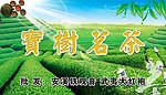 宝树茗茶