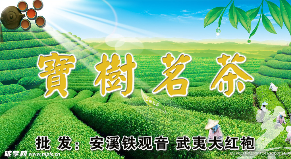宝树茗茶
