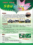 柳叶湖广告单页