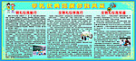 小学生学礼信典范