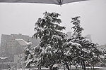 北京师范大学 雪景