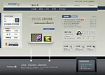 2008韩国商务网页模板系列18