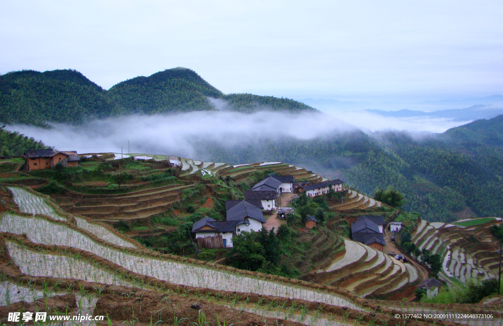 雨雾中的堡上梯田