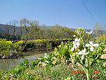 春回大地