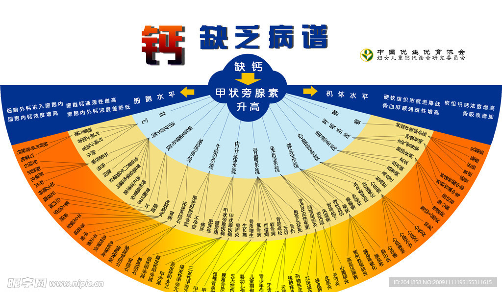 钙缺乏病谱图片