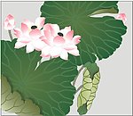荷花 矢量图