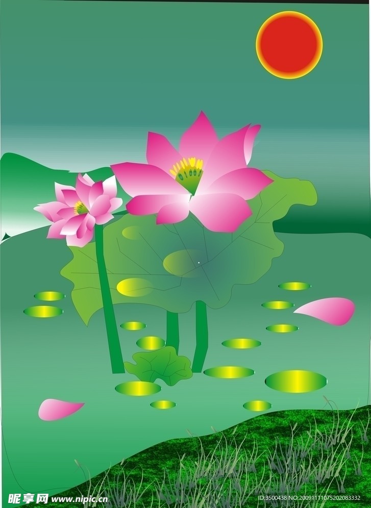 荷花