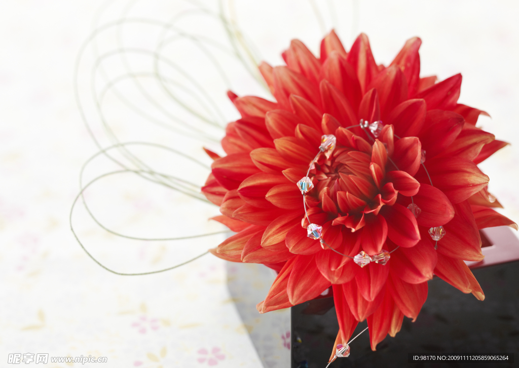 鲜花