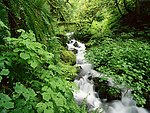 山水风景