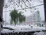 大雪暴雪现场