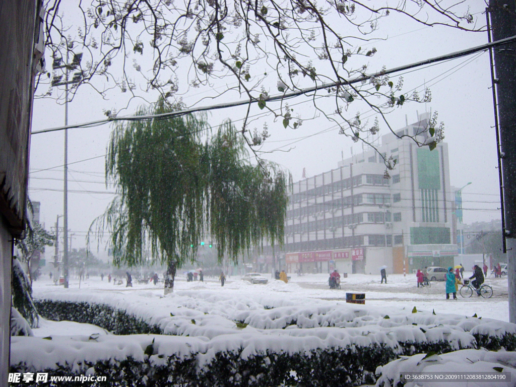 大雪暴雪现场