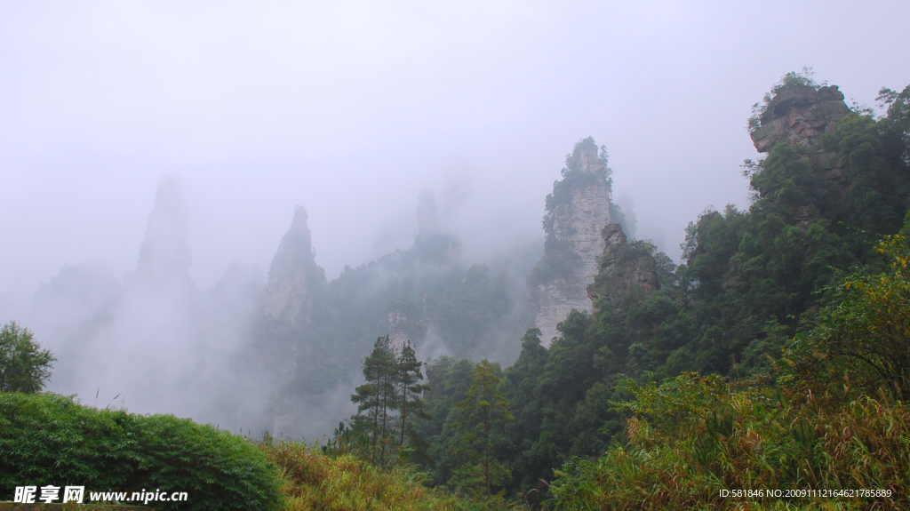 天子山23