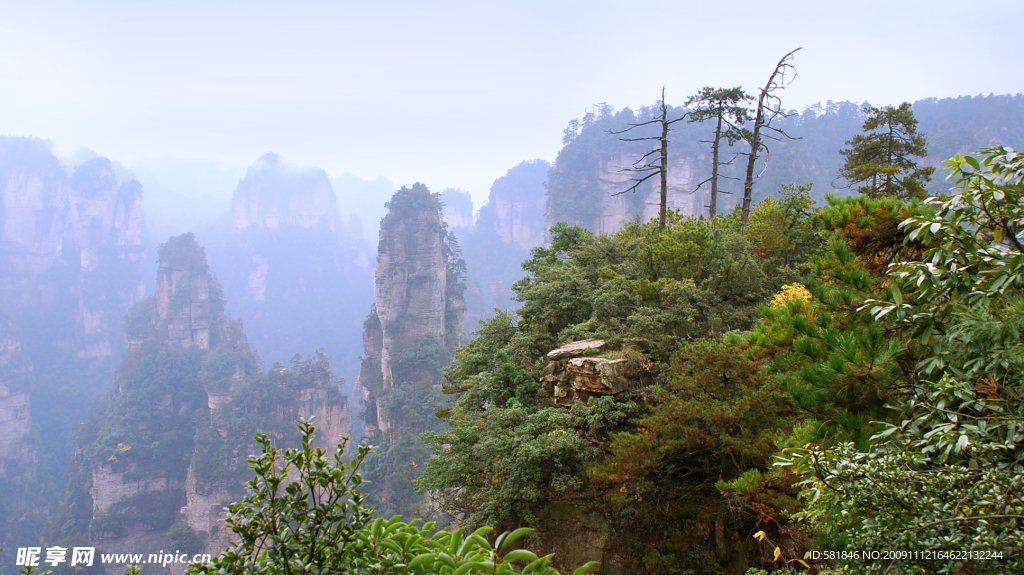 天子山16