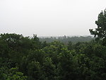 山间丛林