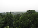 山间丛林