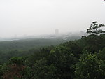 丛林与城市