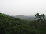 山间丛林