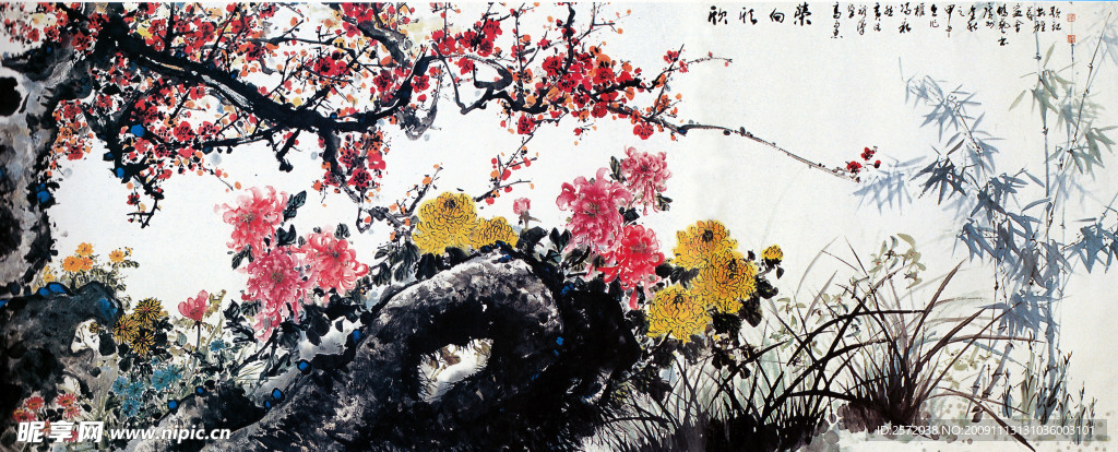 花卉画