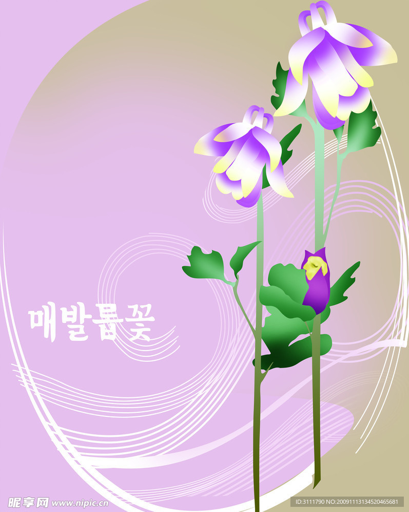 花 移门 紫花