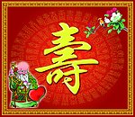 老寿星