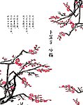 梅花