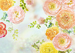 花朵背景模板