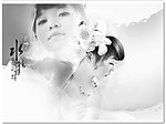 婚纱写真模板（无人物）