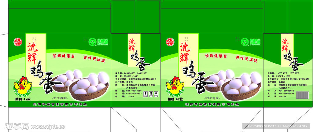笨鸡蛋
