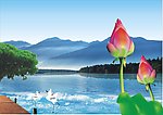 花鹤争艳