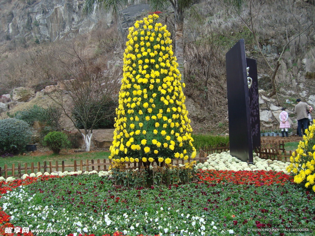 鲜花3