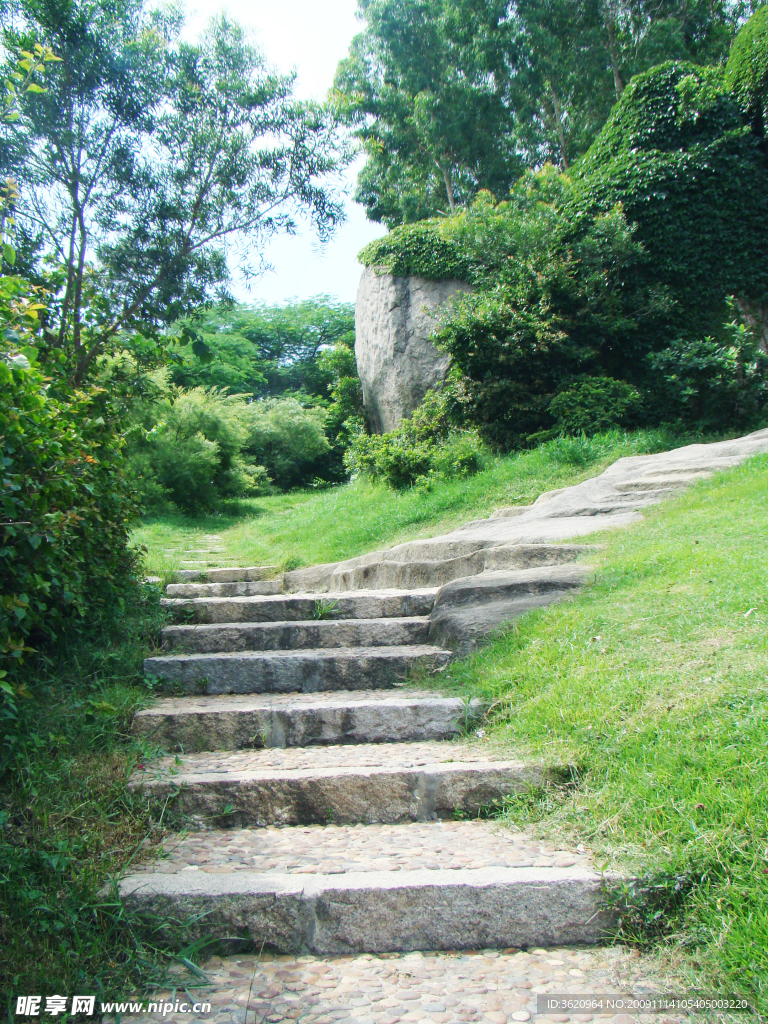 台阶