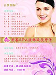 美容院画册