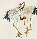 吉祥鸟类