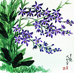 小兰花