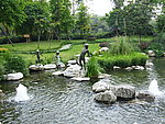 公园小溪