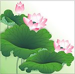 荷花 矢量图