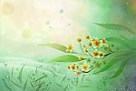 花朵花卉PSD分层素材