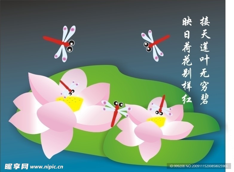 荷花
