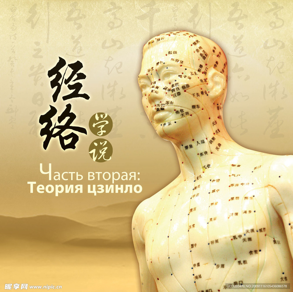 中医经络学说