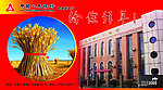 金溪县 人民银行