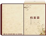 档案袋