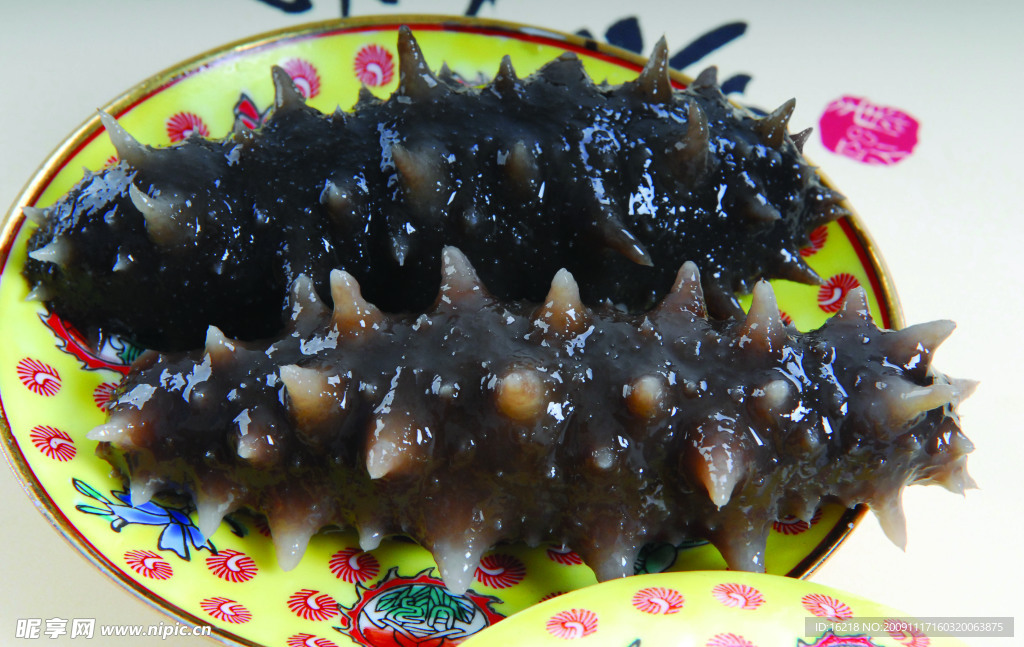 即食海参