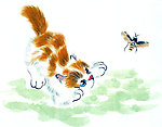 猫的专辑