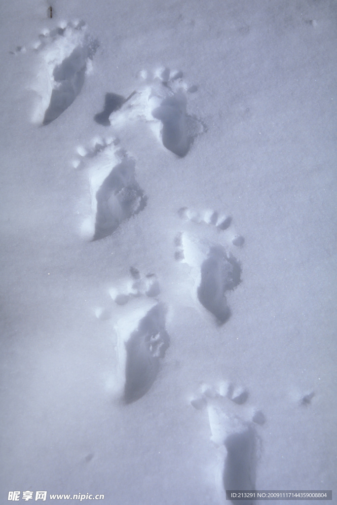 雪地中的脚印