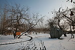 雪景