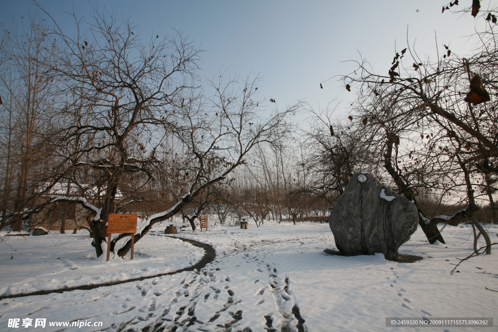 雪景