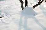 雪景