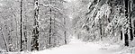 雪路